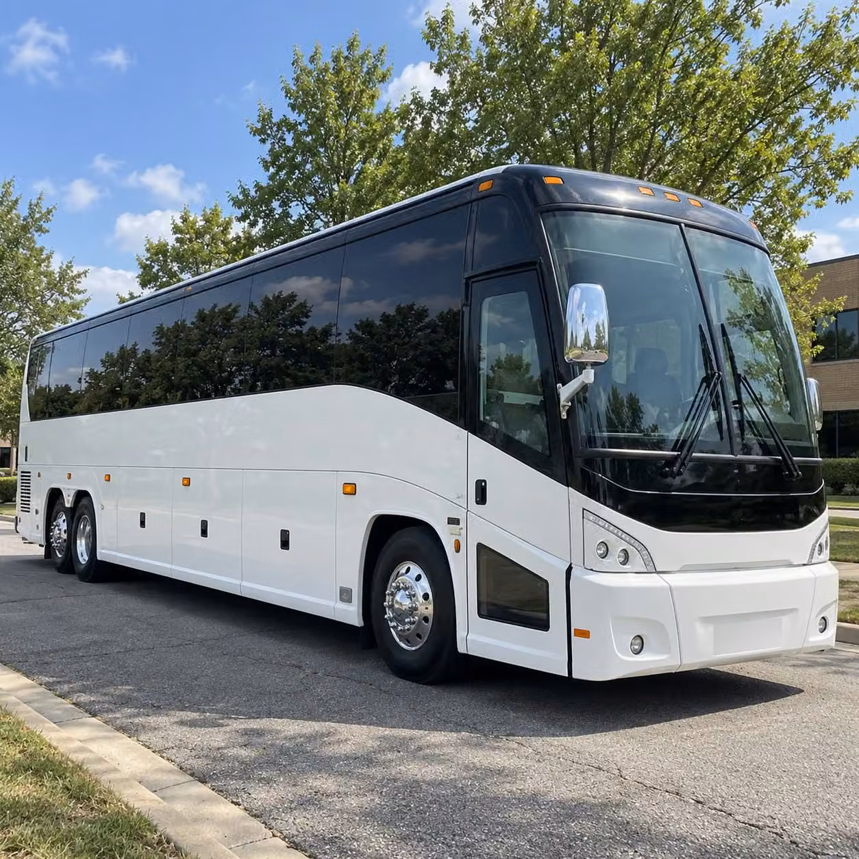 56 passenger charter bus
