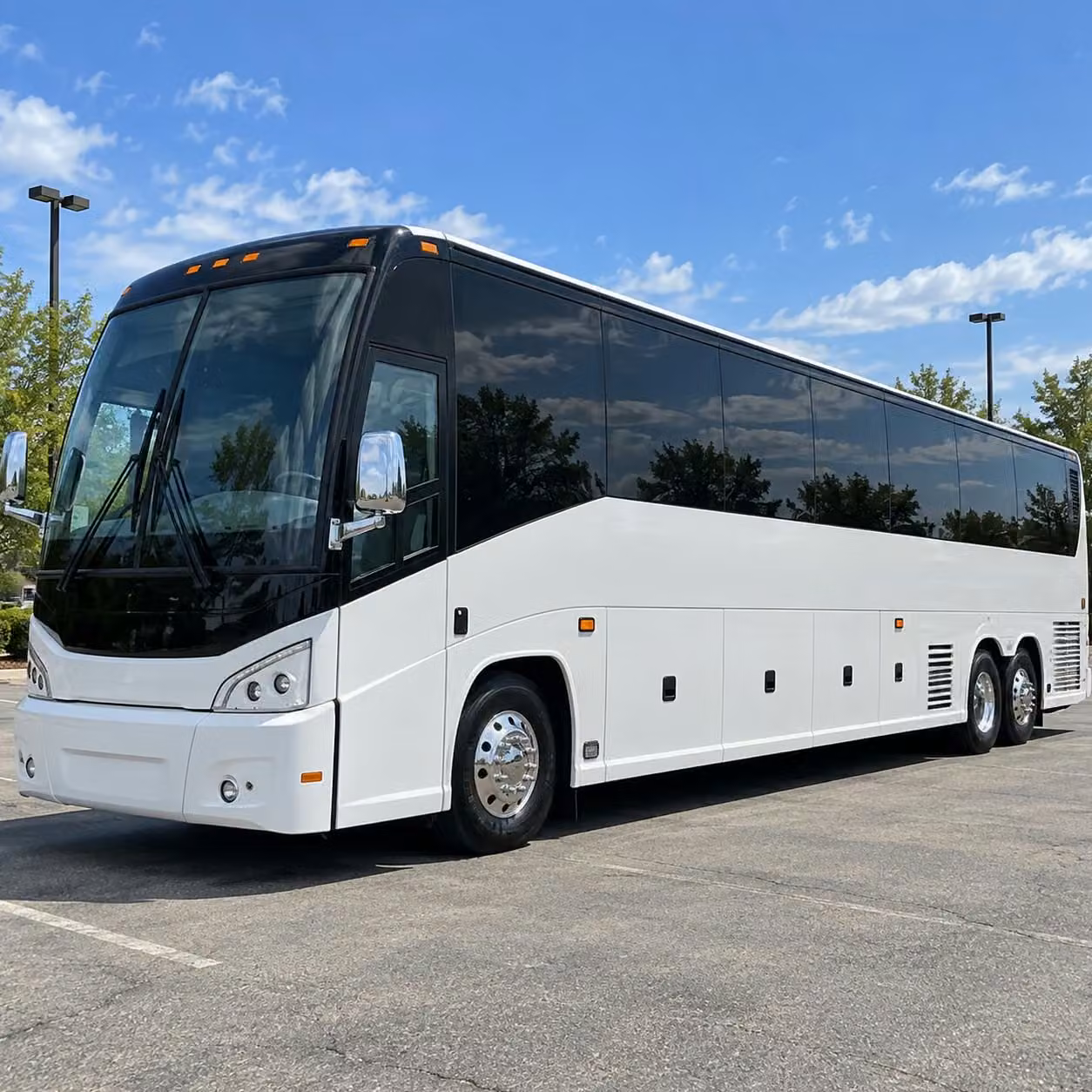 with charterbusrentalcolumbiasc com you get tons of options so your prom night looks exactly the way you pictured it